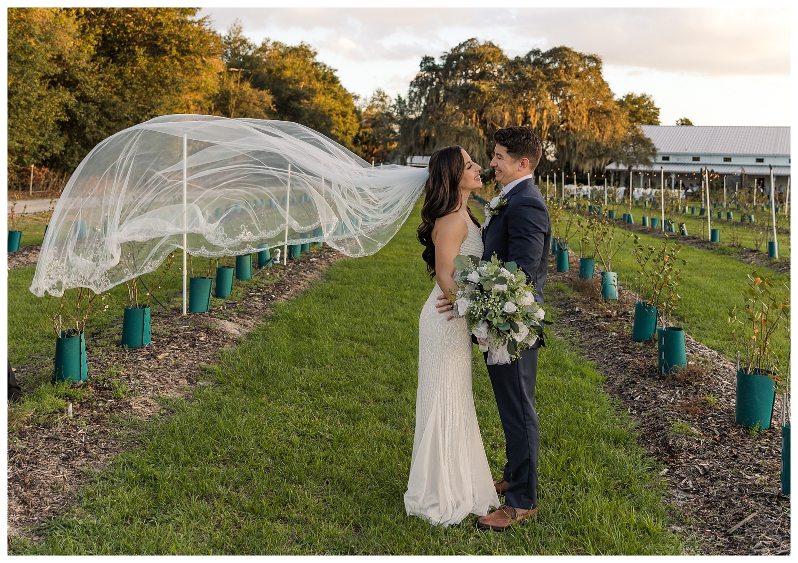 Ever After Blueberry Farms Wedding Photos