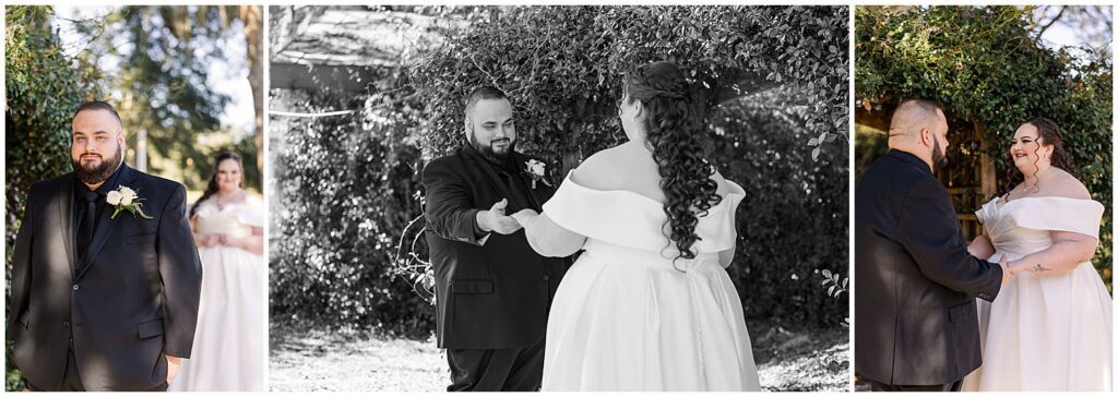 Groom seeing bride for the first time