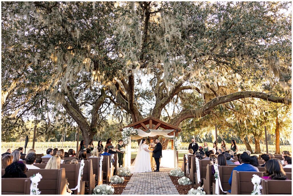 a wedding ceremony during sunset at ever after farms vineyard