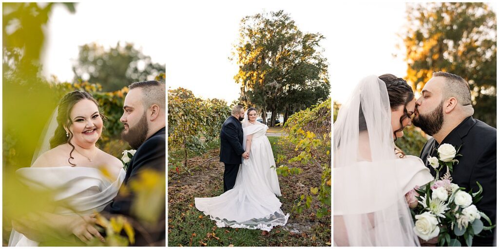 Bride and Groom Portraits in vineyard at ever after farms vineyard wedding