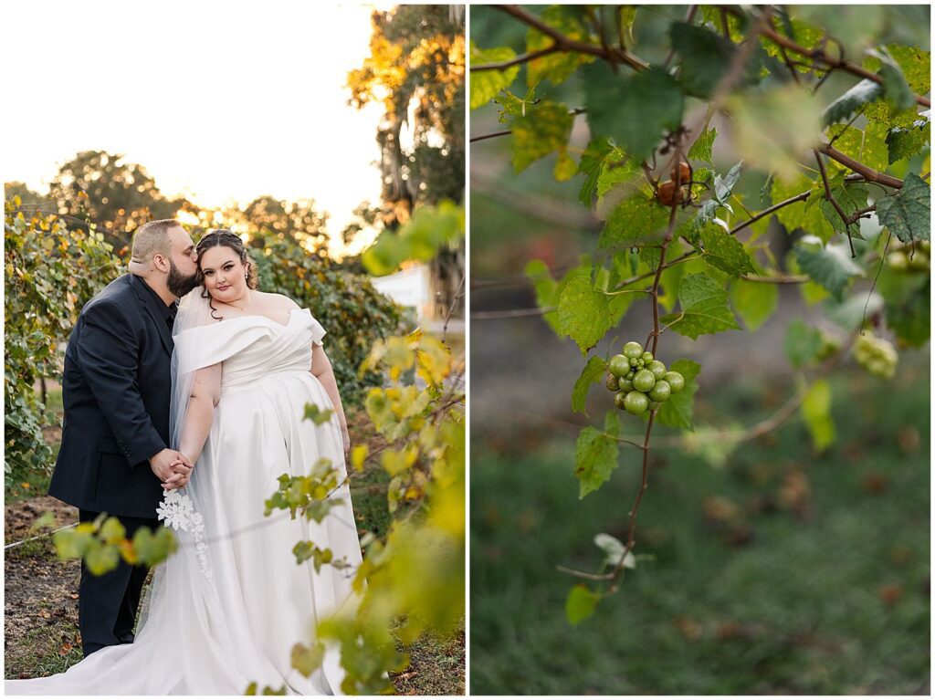 Groom Kissing Bride during Wedding Portraits