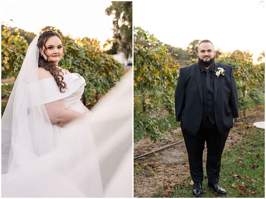 Bride and Groom portraits at vineyard