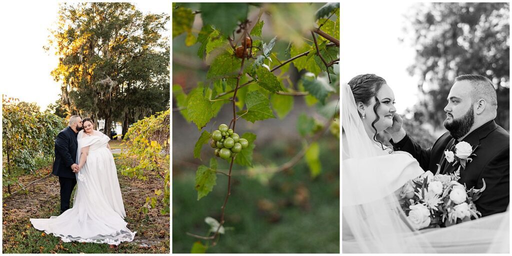 A collection of couples portraits from a wedding at ever after vineyard wedding venue
